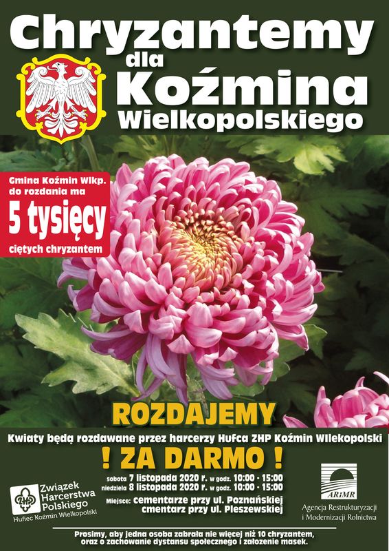 Plakat o akcji Chryzantemy dla Koźmina Wielkopolskiego