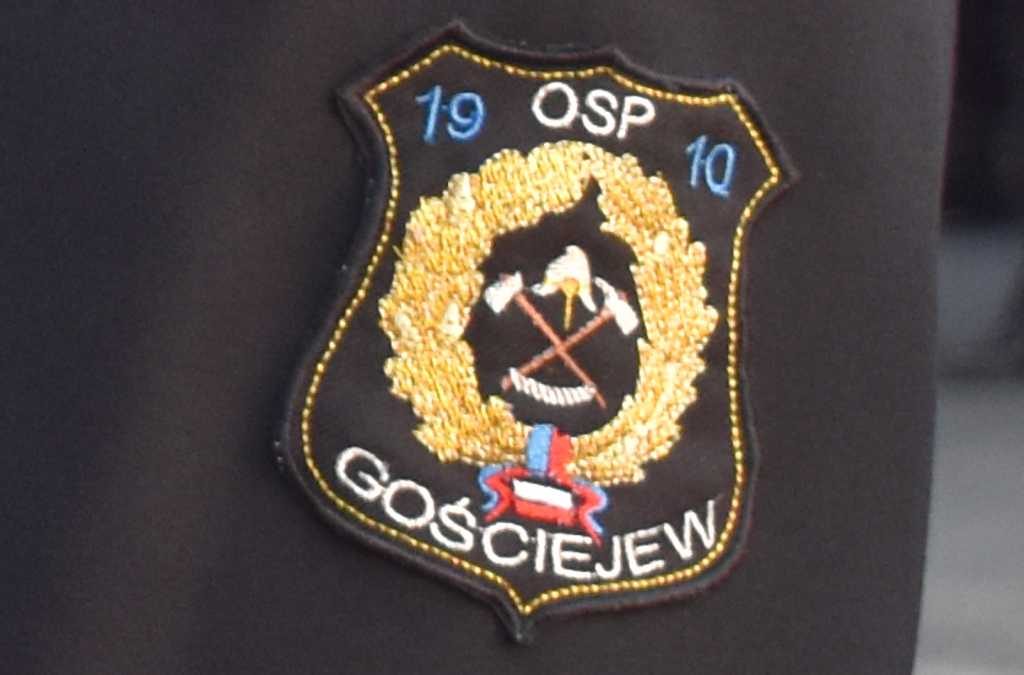 Strażacy podczas obchodów 110lecia OSP Gościejew