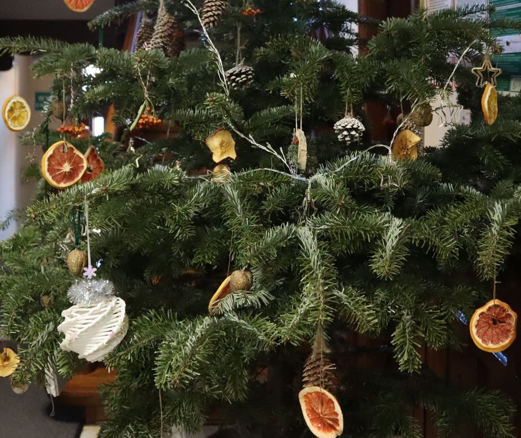 Poświąteczna zbiórka choinek naturalnych 