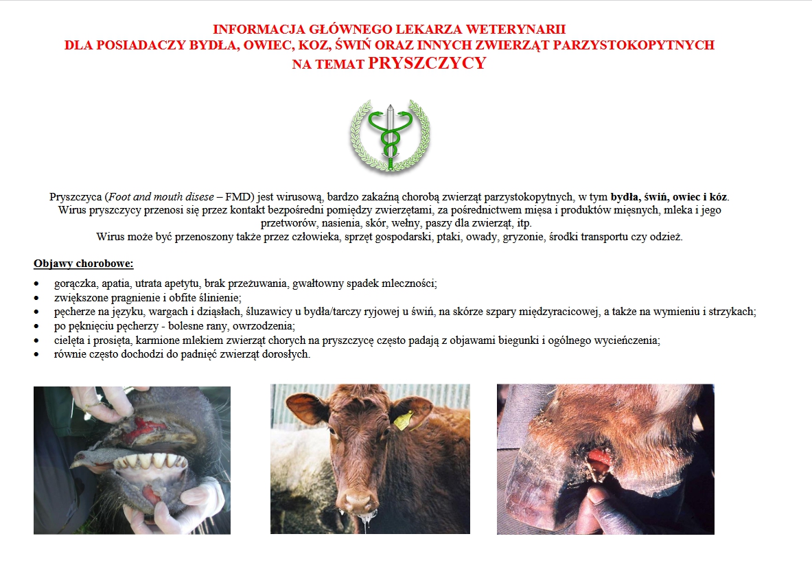 Informacja GLW nt pryszczycy 1