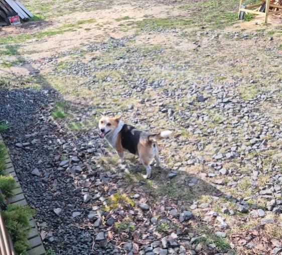 Poszukujemy właściciela...