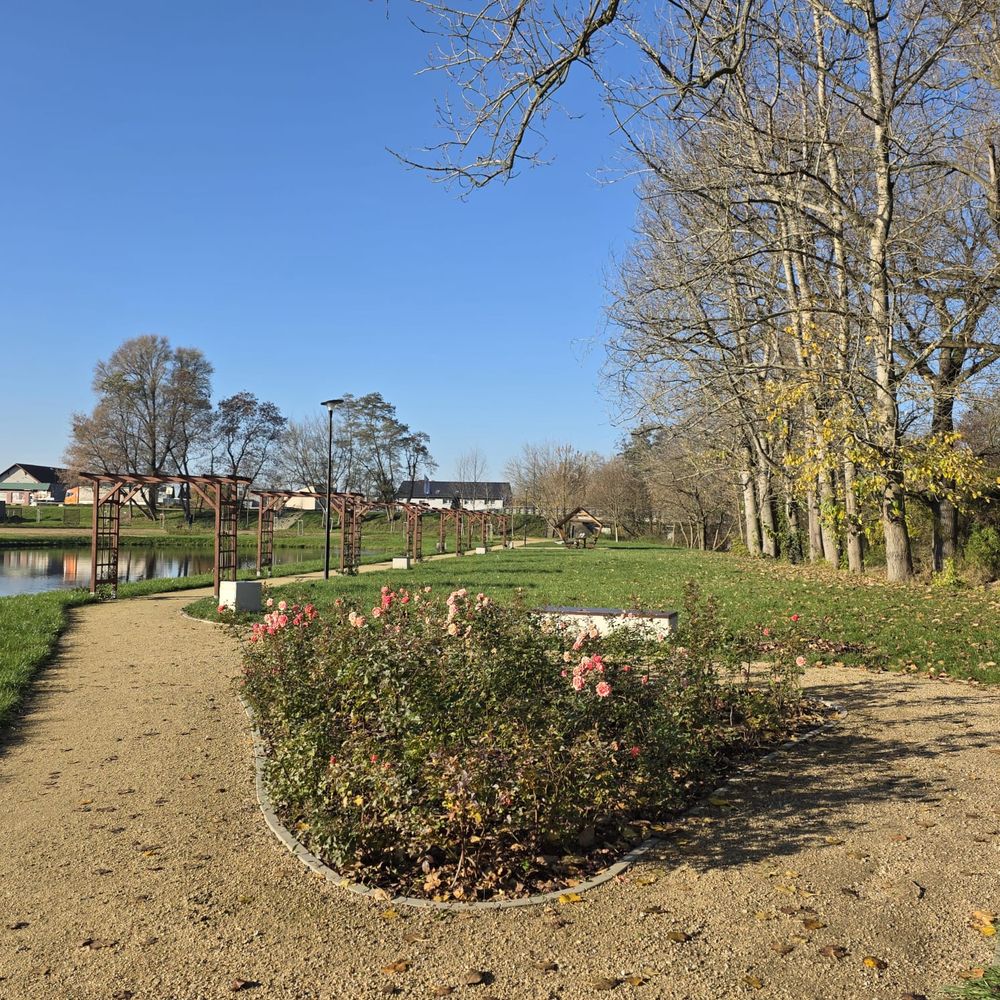 Zapraszamy na spotkanie Zielonego Wolontariatu 