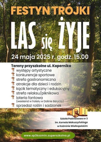 Festyn ,,Trójki ''
