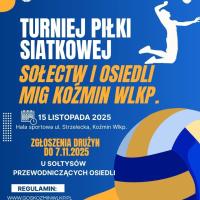 Blue and White Illustration Volleyball Tournament Instagram Post