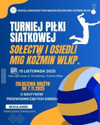 Blue and White Illustration Volleyball Tournament Instagram Post