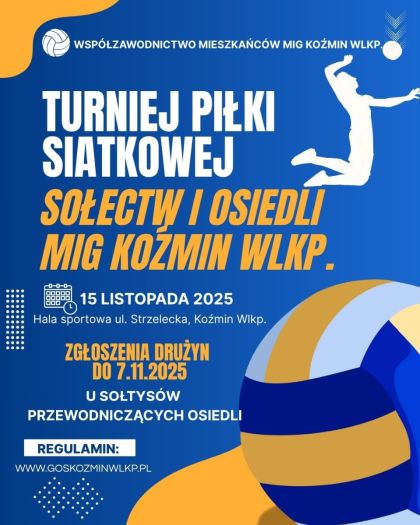Blue and White Illustration Volleyball Tournament Instagram Post