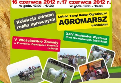 Marszewskie Dni Pola 2012