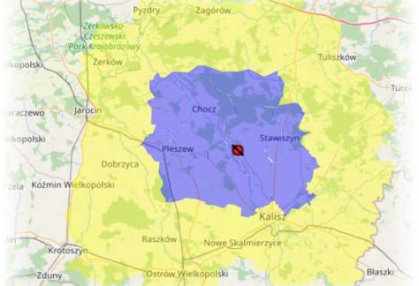 Gmina Koźmin Wlkp. częściowo w żółtej strefie ASF